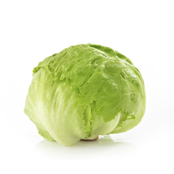 Lettuce - Lechuga EA