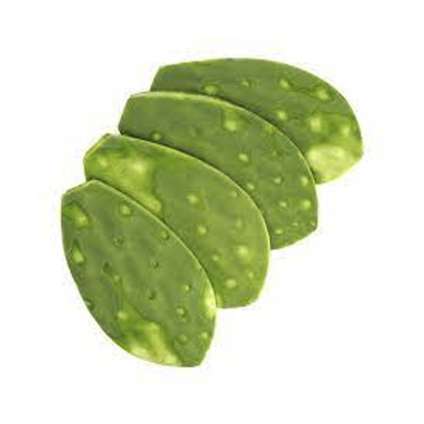 Nopal Entero - Whole Cactus 1 lb