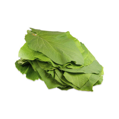 Hoja Santa 0.10 lb