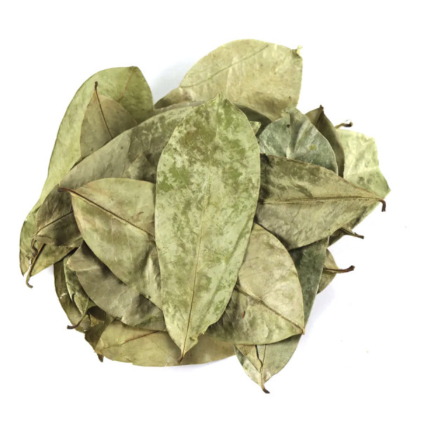 Hojas de Guanabana - Graviola Leaves 1/4 oz