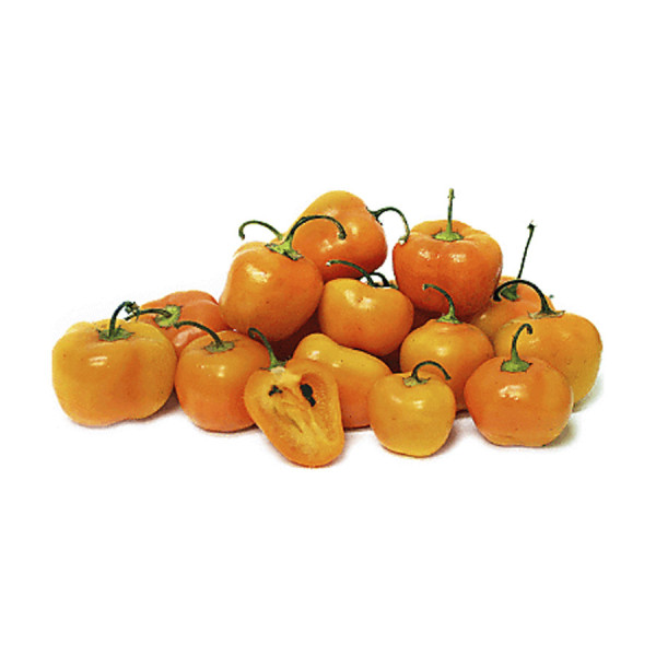 Manzano Pepper - Chile Manzano 1 lb