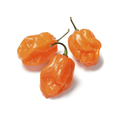 Habanero Peppers - Chile Habanero 1 lb