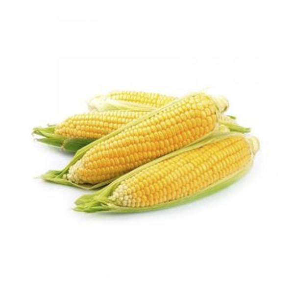 Corn - Elote EA